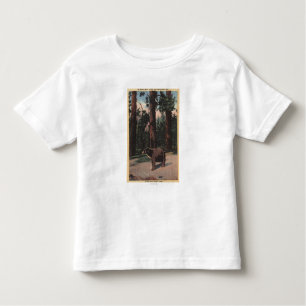 T-shirt Pour Les Tous Petits Un ours Brown dans les bois