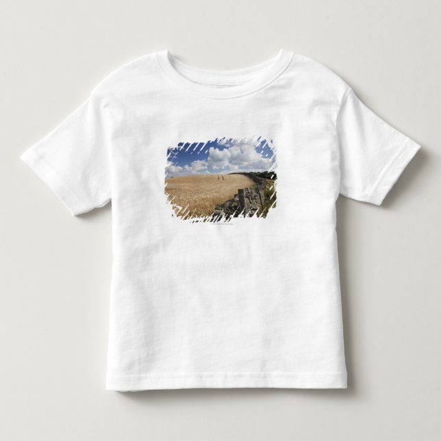 T-shirt Pour Les Tous Petits Une barrière de barbelé construite le long d'une (Devant)
