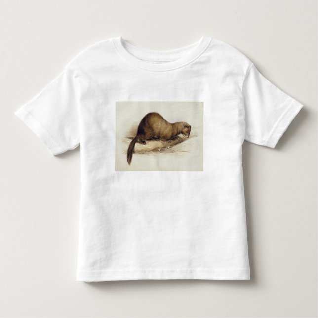 T-shirt Pour Les Tous Petits Une belette, 1832 (la semaine, ove de stylo, (Devant)