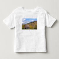 Une grange dans les montagnes Vertes du Vermont. H