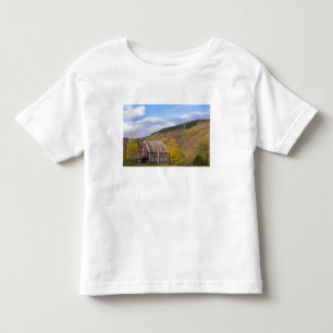 T-shirt Pour Les Tous Petits Une grange dans les montagnes Vertes du Vermont. H