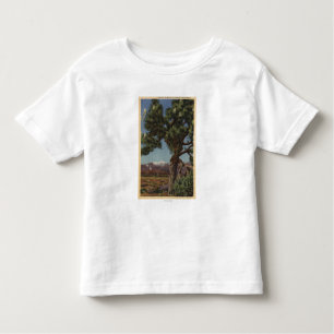 T-shirt Pour Les Tous Petits Une paume de Joshua en fleur dans le désert