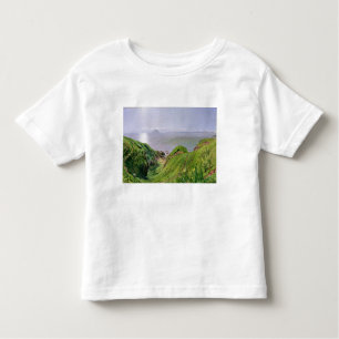 T-shirt Pour Les Tous Petits Une vue d'Ailsa Craig et l'île d'Arran, 1860