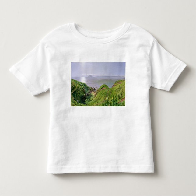 T-shirt Pour Les Tous Petits Une vue d'Ailsa Craig et l'île d'Arran, 1860 (Devant)