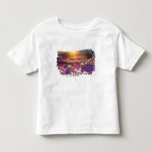 T-shirt Pour Les Tous Petits USA, Californie, Anza-Borrego Desert State Park. 2