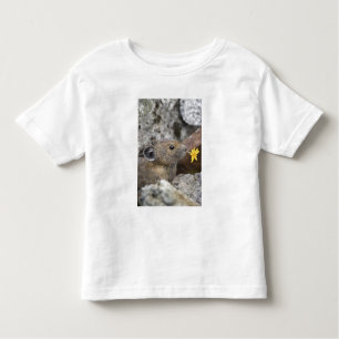 T-shirt Pour Les Tous Petits USA, Washington, North Cascades National Park,