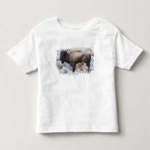 T-shirt Pour Les Tous Petits Vache allaitant un veau de bison, Yellowstone