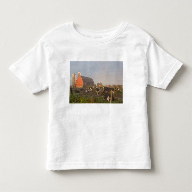 T-shirt Pour Les Tous Petits Vaches laitières Holstein à l'extérieur d'une gran (Devant)