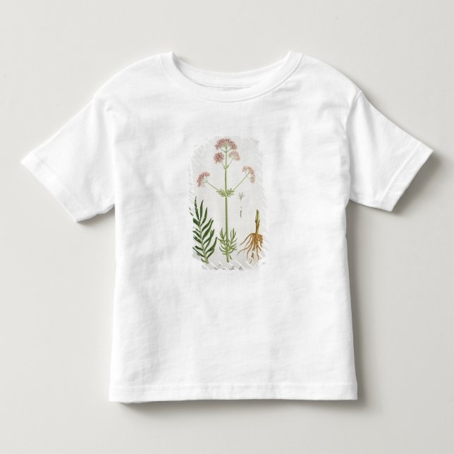 T-shirt Pour Les Tous Petits Valériane de "Phytographie Medicale" par le RO de (Devant)