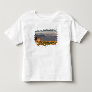 T-shirt Pour Les Tous Petits Vieille grange encadrée par des balles de foin et