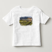 Vignoble en sommeil, fleurs de fruit, maison en pi