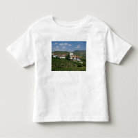 Vignobles, village de San Miguel, Douro