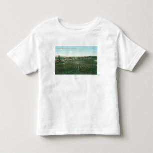 T-shirt Pour Les Tous Petits Vue aérienne de la ville, le comté de Sonoma de 
