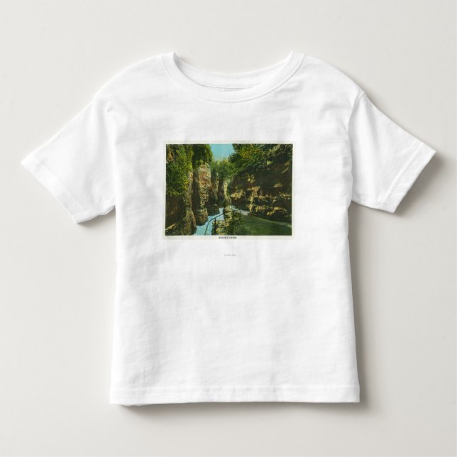 T-shirt Pour Les Tous Petits Vue d'abîme d'Ausable (Devant)