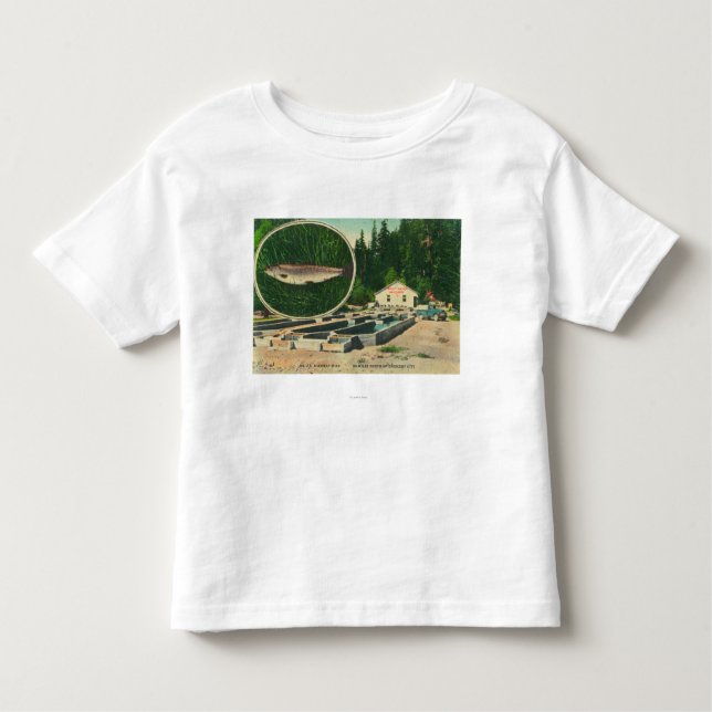 T-shirt Pour Les Tous Petits Vue d'asile HatcheryGasquet, CA de truite (Devant)
