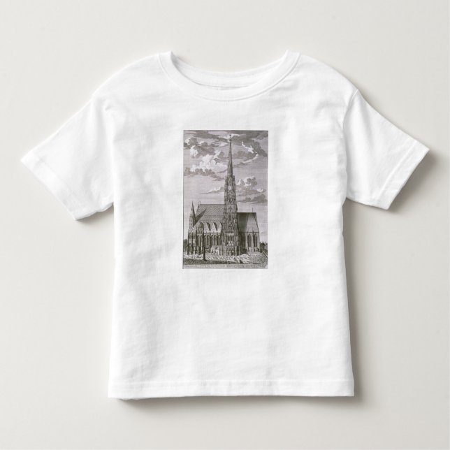 T-shirt Pour Les Tous Petits Vue de cathédrale de St Stephan (Devant)