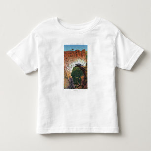 T-shirt Pour Les Tous Petits Vue de la voûte victorienne