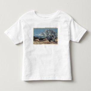 T-shirt Pour Les Tous Petits Vue de Mt. San Gorgonio, arbres de fumée