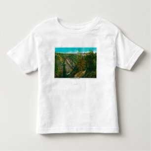 T-shirt Pour Les Tous Petits Vue de pont de Gulch d'ouragan, Alaska