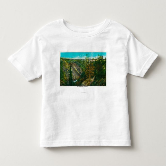 T-shirt Pour Les Tous Petits Vue de pont de Gulch d'ouragan, Alaska (Devant)
