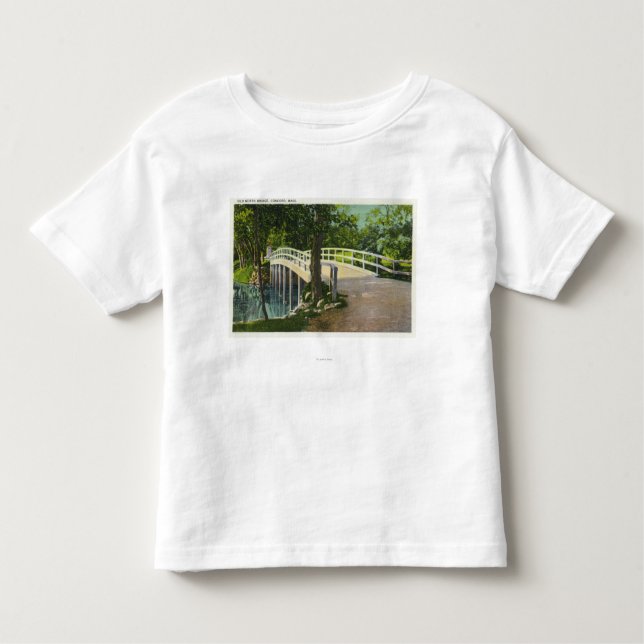 T-shirt Pour Les Tous Petits Vue de vieux pont du nord (Devant)