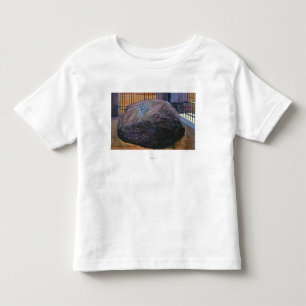 T-shirt Pour Les Tous Petits Vue de vrai Plymouth Rock