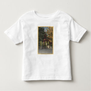 T-shirt Pour Les Tous Petits Vue d'église épiscopale de St James
