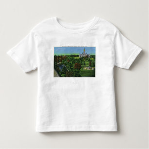 T-shirt Pour Les Tous Petits Vue des au sol de capitol d'état, voûte