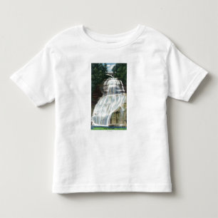 T-shirt Pour Les Tous Petits Vue des automnes de Chequagah