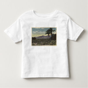 T-shirt Pour Les Tous Petits Vue des dates s'élevant près de la mer de Salton