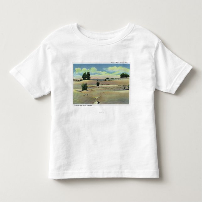 T-shirt Pour Les Tous Petits Vue du désert du Maine (Devant)