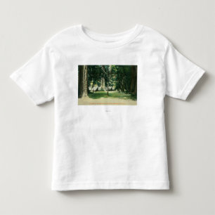 T-shirt Pour Les Tous Petits Vue d'un camp dans les séquoias