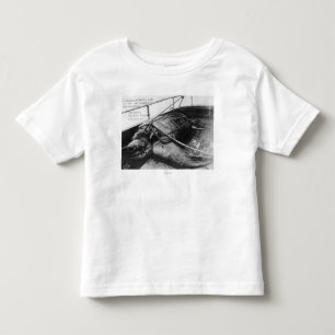 T-shirt Pour Les Tous Petits Vue d'une tortue de mer géante en captivité