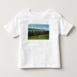 T-shirt Pour Les Tous Petits Vue pittoresque de lac Cobbosseecontee
