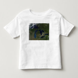 T-shirt Pour Les Tous Petits Vue satellite des Great Lakes