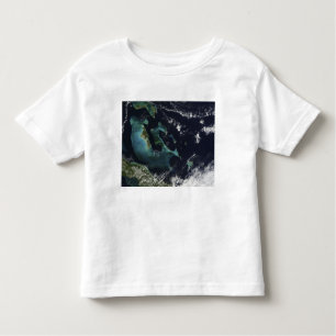 T-shirt Pour Les Tous Petits Vue satellite sur les îles Bahama