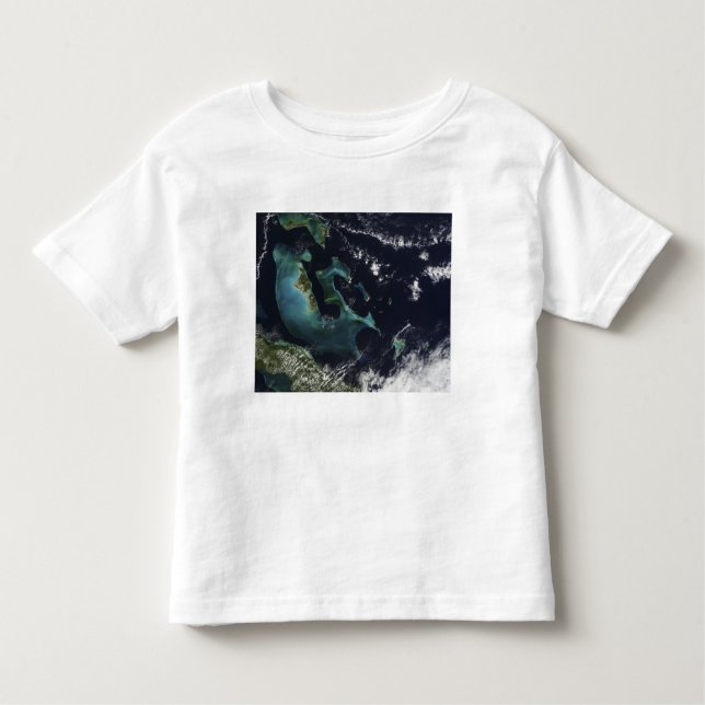 T-shirt Pour Les Tous Petits Vue satellite sur les îles Bahama (Devant)