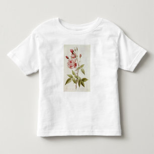 T-shirt Pour Les Tous Petits Vulgaris indica de Rosa, des 'roses de Les
