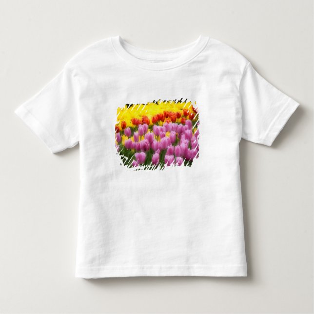 T-shirt Pour Les Tous Petits WA, Skagit Valley, Roozengaarde Tulip Garden, 2 (Devant)