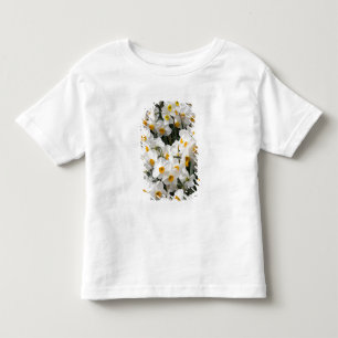 T-shirt Pour Les Tous Petits WA, vallée de Skagit, motif de jonquille
