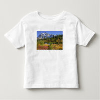 WA, zone de loisirs de Heather Meadows, Mt. 2