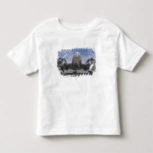 T-shirt Pour Les Tous Petits Washington, Arlington Fly-in, spectacle aérien.