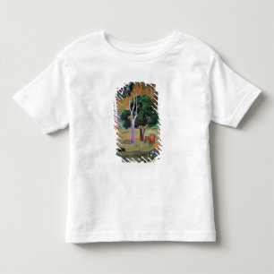 T-shirt Pour Les Tous Petits WI dominicains de paysage ou de paysage de Paul