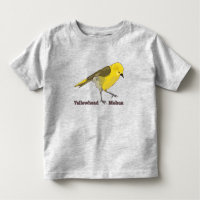 Yellowhead Mohua
