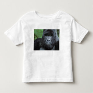 T-shirt Pour Les Tous Petits Zaïre, Parc national des Virungas. Portrait de
