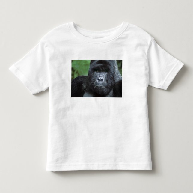 T-shirt Pour Les Tous Petits Zaïre, Parc national des Virungas. Portrait de (Devant)