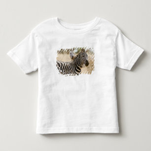 T-shirt Pour Les Tous Petits Zèbre dans le parc national de Meru, Kenya.