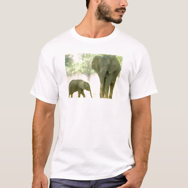 T-shirt Pourquoi les animaux sont supérieurs (Devant)