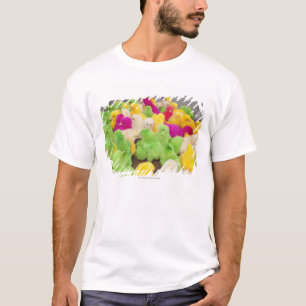 T-shirt Poussins de bébé dans un stylo à un marché col