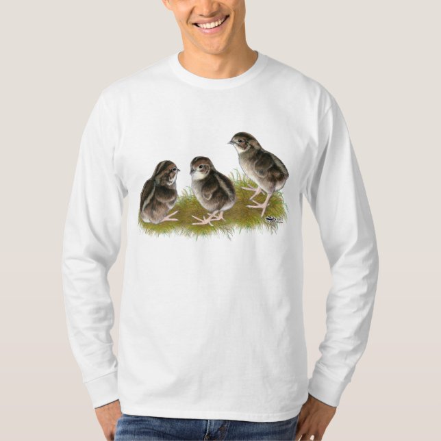 T-shirt Poussins de caille Coturnix (Devant)